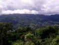 /album/fotogaleria/serrania-de-caripe-jpeg/
